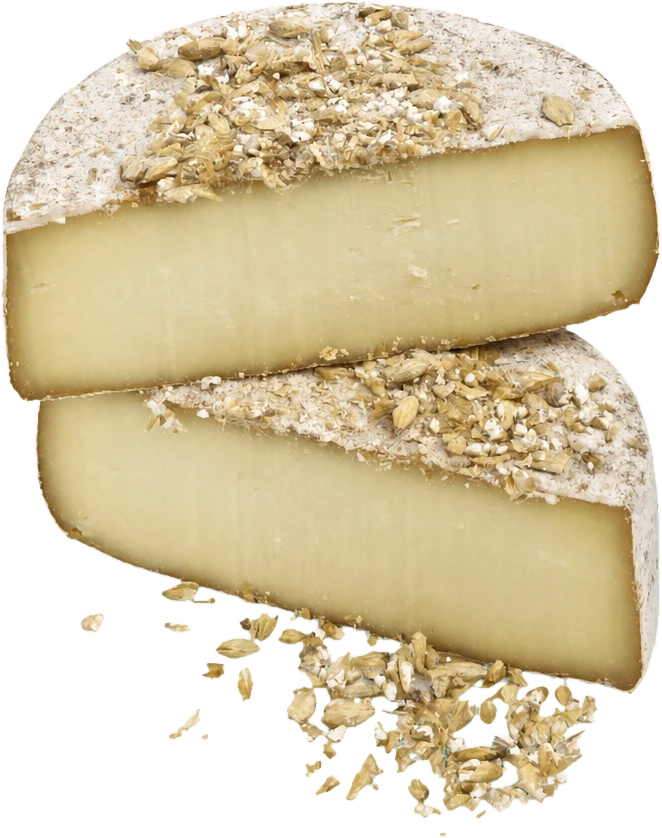 Birretta (croûte à la bière) — Eros Buratti