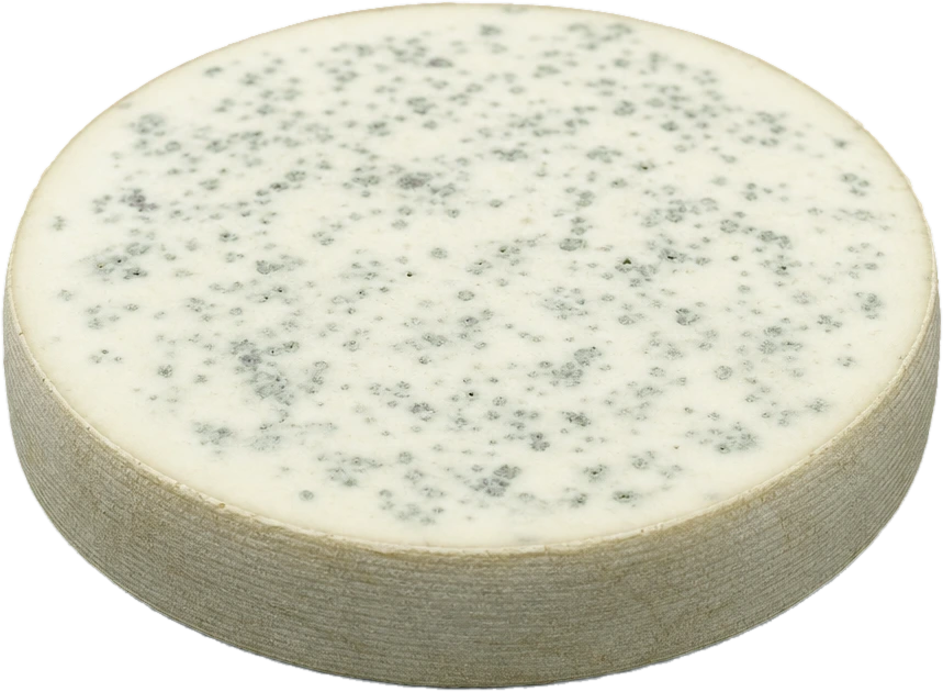 Bleu de chèvre — Gildo