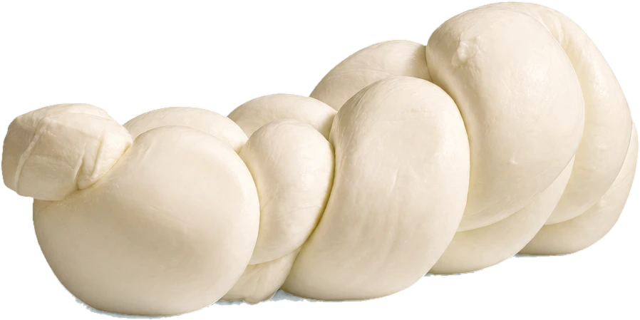Mozzarella di Bufala Campana DOP — Casa Madaio