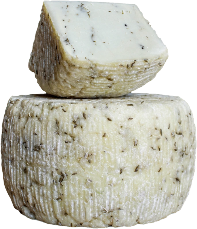 Pecorino au fenouil sauvage — Caseificio Maremma
