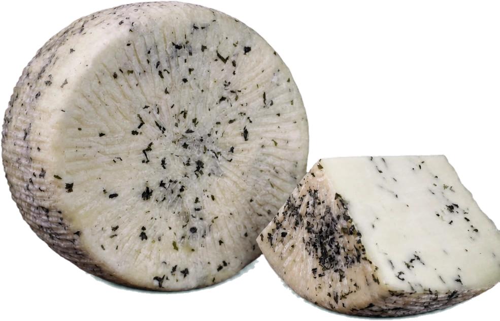Pecorino à l’origan — Caseificio Maremma