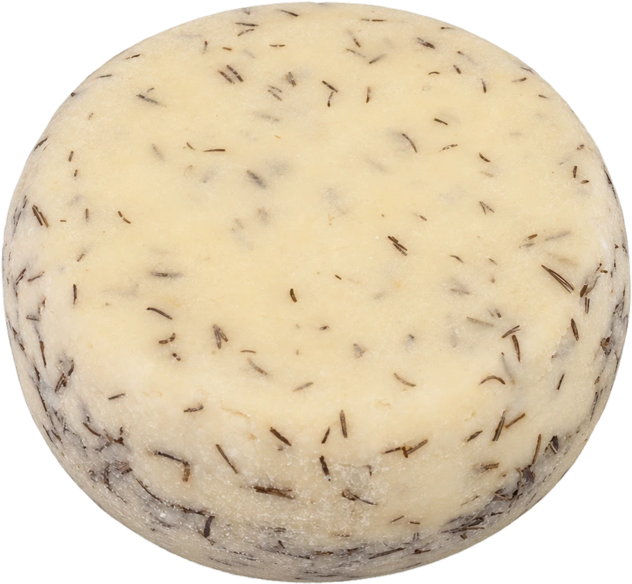 Pecorino romarin & ail — Caseificio Maremma