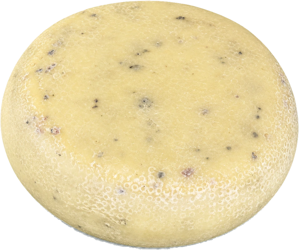 Pecorino à la truffe — Caseificio Maremma
