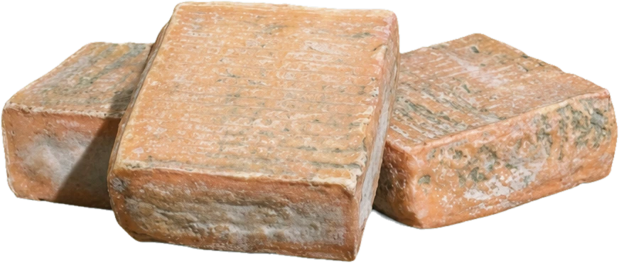 Robiola de chèvre — Gildo