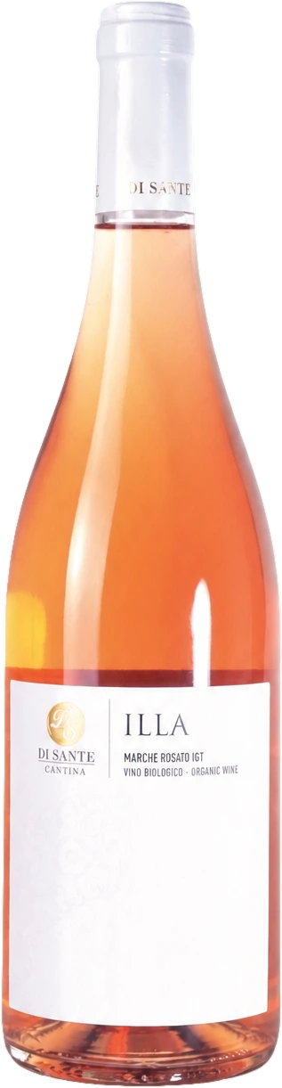 Rosato Marche « Illa » — Di Sante